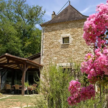 Villa Avec Piscine Privee A Vezac, 160 M² *